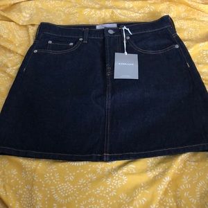 Everlane Denim Skirt